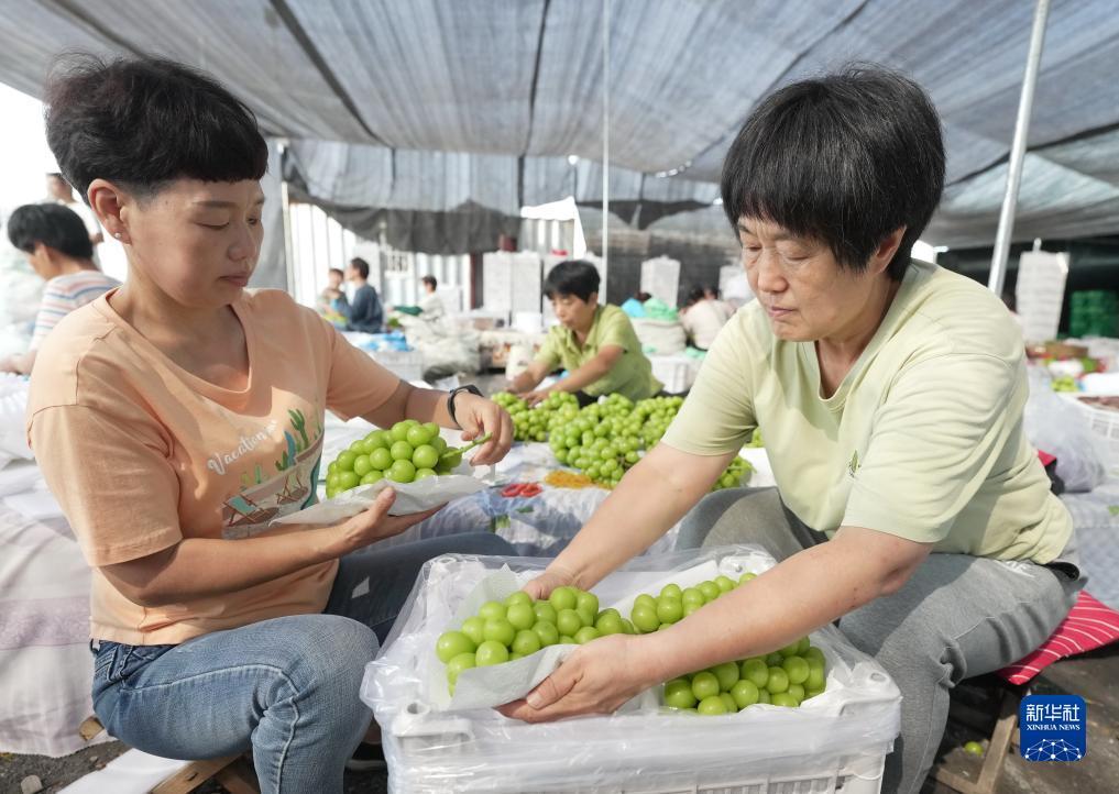 奥门游戏网